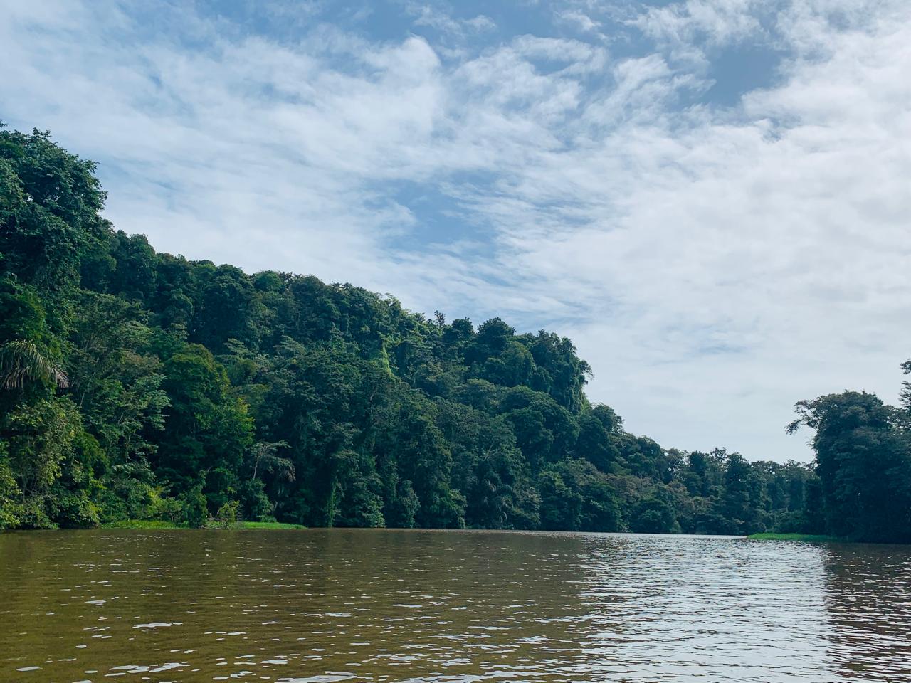 Tortuguero WhatsApp Image 2025-12-06 at 11.40.48 AM (3)